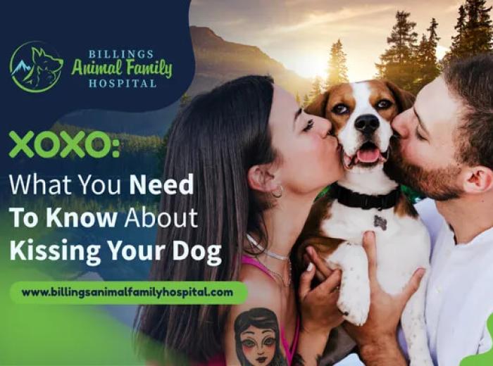Kissing Your Dog: Is It Safe? | Billings Animal Family Hospital