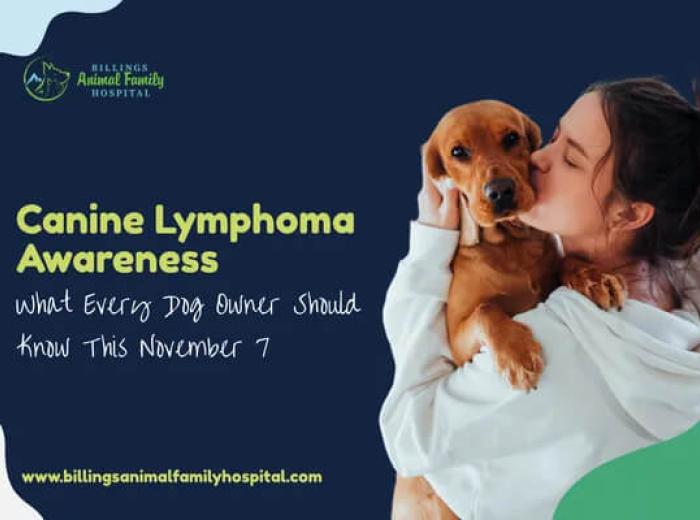 Canine Lymphoma Awareness