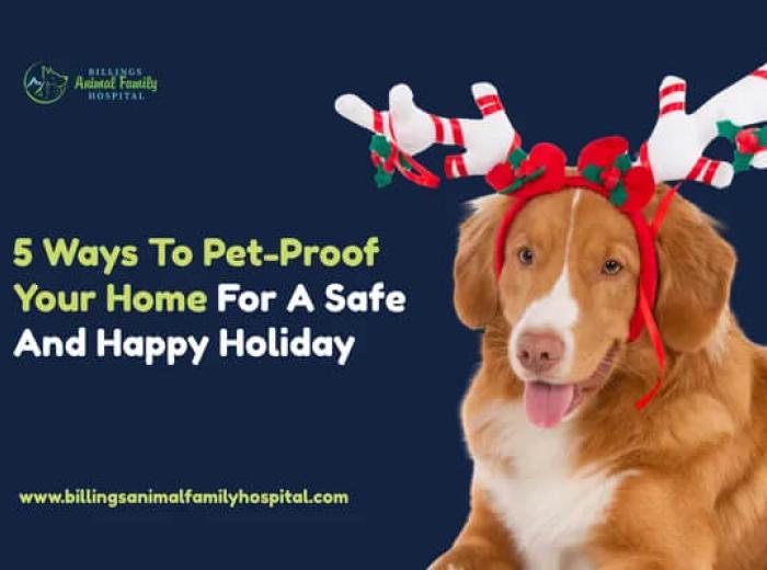 5 Ways to Pet-Proof Your Home for a Safe and Happy Holiday