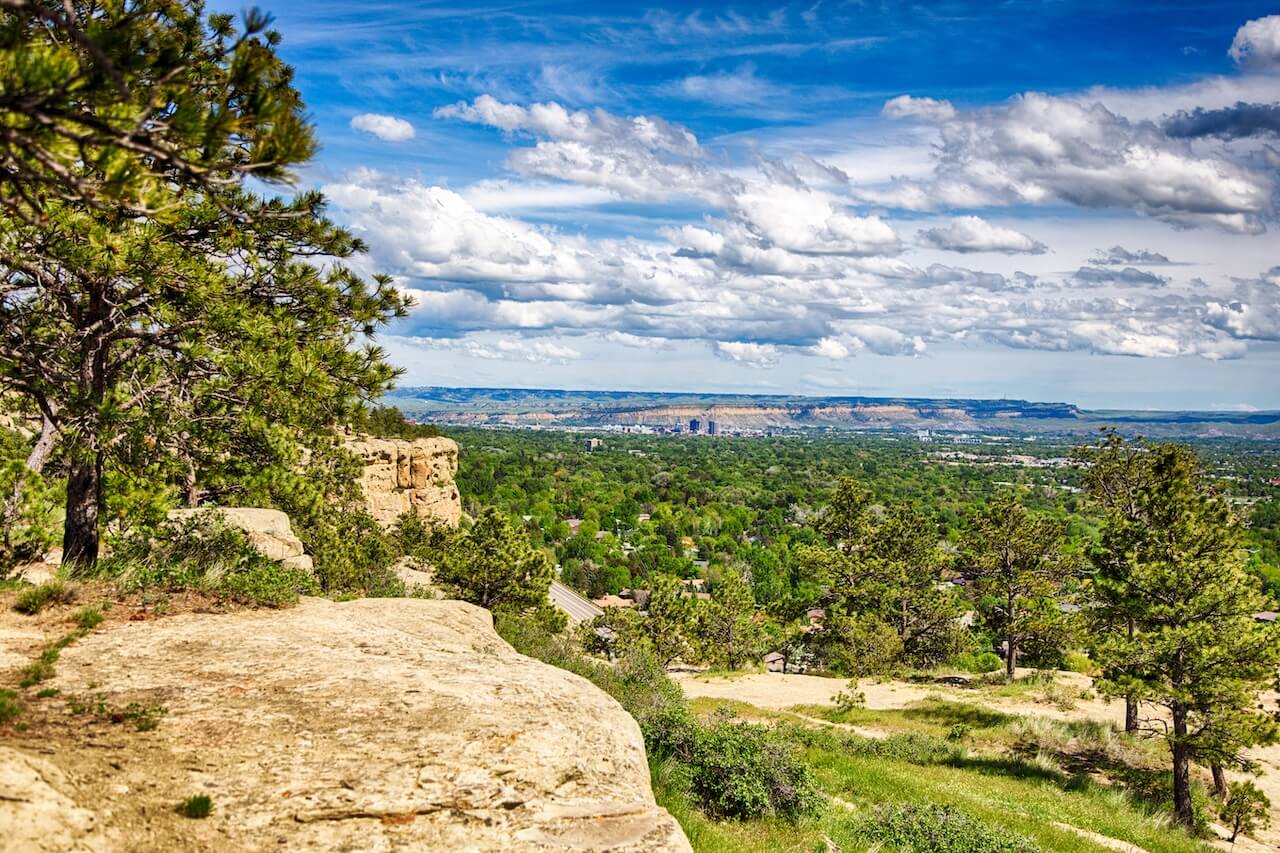 Billings Veterinarian