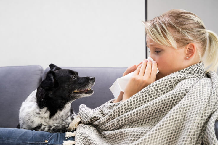 owner with allergies to her dog