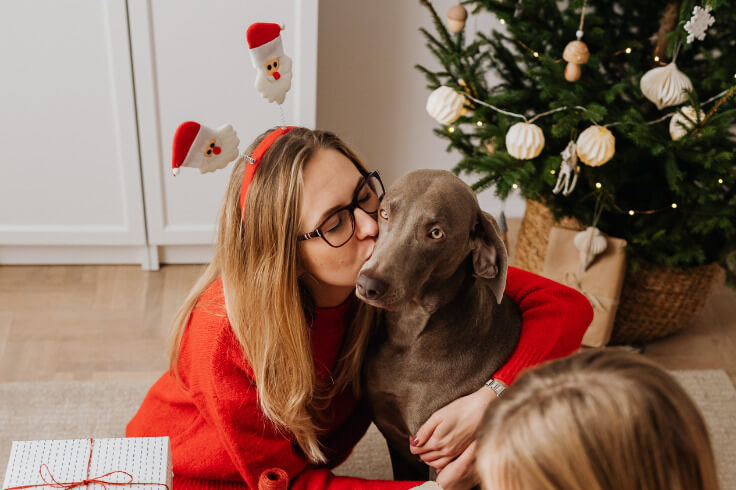 Owner giving dog lots of kisses
