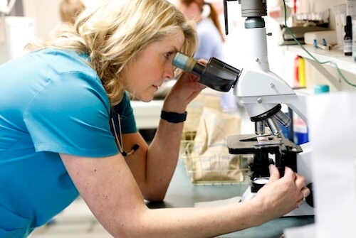 Doctors Best checking the lab results
