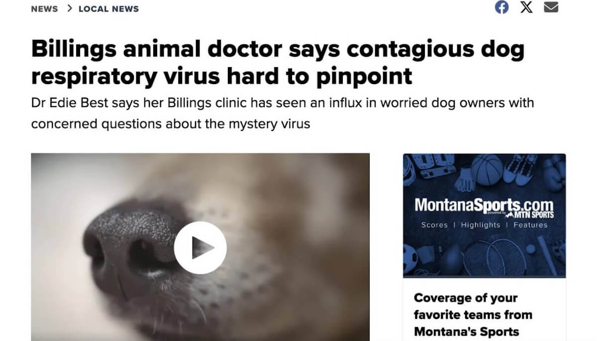News article for Billings Animal Family hospital 1