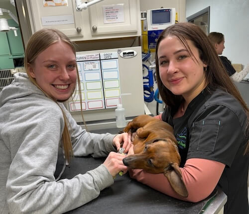two lady staff members helping a dog that is a patient