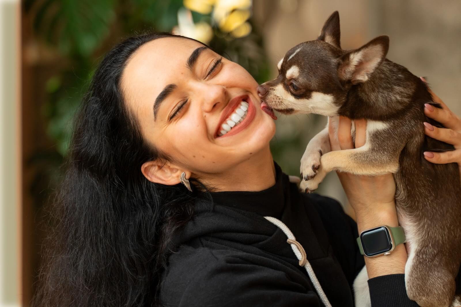 dog kissing its owner